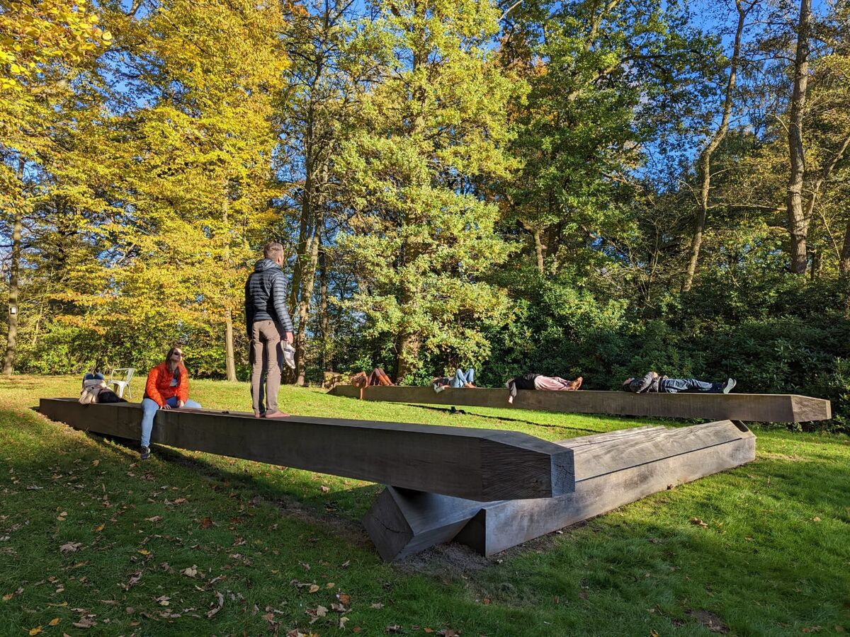 A forest bathing walk among trees