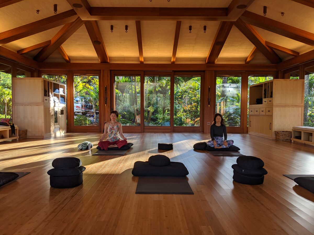 Two students sitting in quiet meditation inside a wood-beamed studio, soft morning light coming through the garden doors